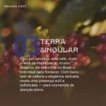 Terra Singular - Imagem 3